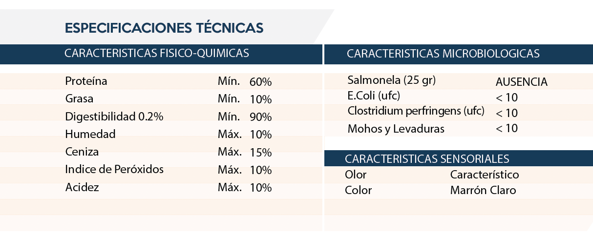 Especificaciones técnicas