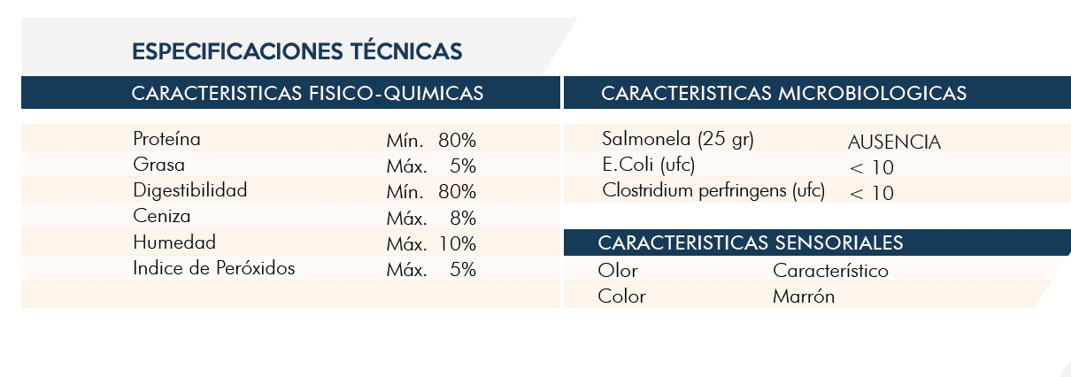 Especificaciones técnicas